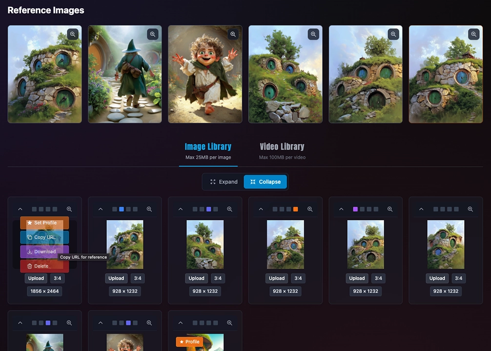 Image and Video Library interface showing CloudFront storage